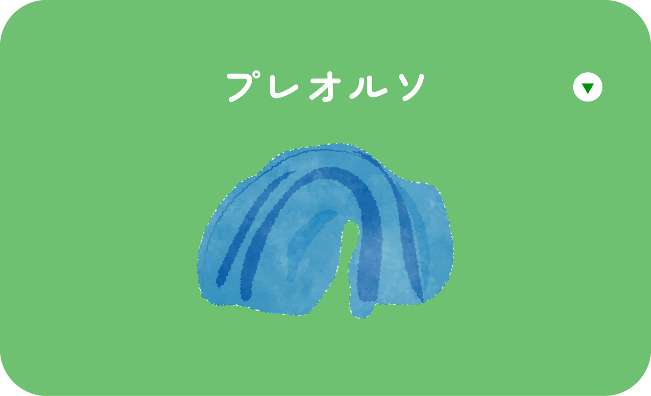 プレオルソ